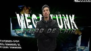 MEGA FUNK VISAO DE CRIA (DJ DOMINGUES SC)