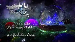 New Year's Wish from proBakster Team