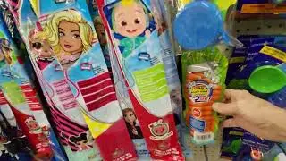 DOLLAR TREE POOL PARTY & OUTDOOR ACTIVITY TOYS $1.25 KITES BUBBLE BLASTER BUTTERFLY NETS BUG CATCHER