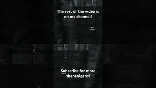 The Elder Shorts V 43 #gaming #skyrim #games #skyrimae #skyrimspecialedition #skyrimanniversary