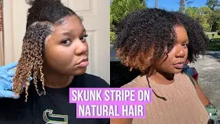 How I Do the Skunk Stripe on Natural Hair| Crème of Nature Lightest Blonde