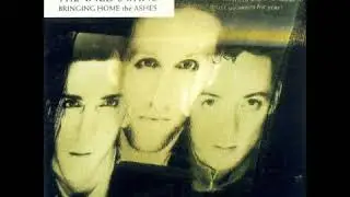 The Wild Swans - Bringing Home The Ashes (Extended) [JRG Remaster]