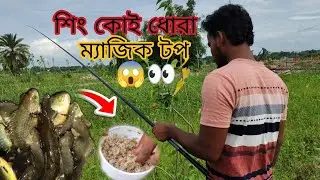 বড় সিংমাজ উঠে এল বঁড়শিতে 😱👍 | fishing video | koi fish catching |  hook fishing | #fishing #shorts 