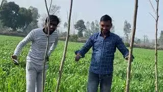 New vlog 😎&hellip; #trending #funny #comedy #farming #foryou #india 