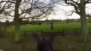 Alice Pearson joins The Ledbury Hunt at the Tweenhills meet on the 20th December 2013
