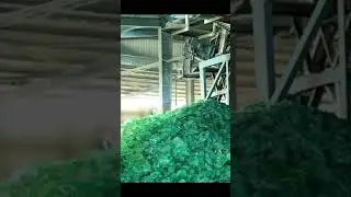 Sodium Silicate Plant #shorts