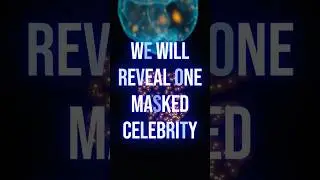 Top Secret / The Masked Singer USA Season 14 #themaskedsinger