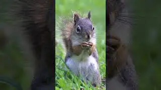&ldquo;I&rsquo;m talking here human!&rdquo;