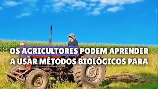 Educa&ccedil;&atilde;o Ambiental no meio rural