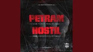 Petram Funky Feeling [INSANE010]