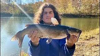 How to clean a catfish without an electric fillet knife