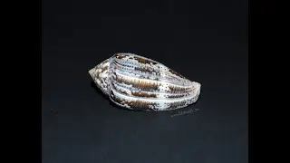Конус ахатинус (Conus achatinus) 5,8 см.