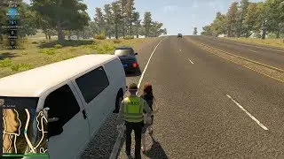 Flashing lights Early Access (pulling over drunk drivers)