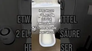Toilette reinigen Urinstein entfernen Toilette sauber machen toilet cleaning tips Haushaltstipps