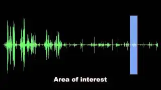 Transform Evp Test Result 3 