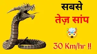 Top 5 Facts about Snakes 🐍 #shorts