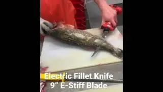 Processing Jumbo Pickerel ( Walleye ) With An Electric Fillet Knife ( Bubba Blade )