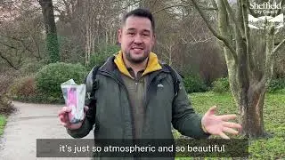 Gardeners' Question Time visits Sheffield Botanical Gardens