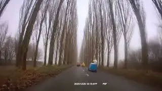 Velomobielen tussen hoge bomen