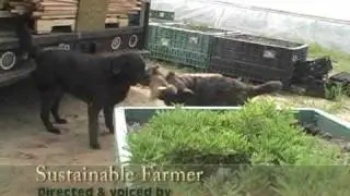 Устойчивое фермерство - Titus Farms: Следующее поколение