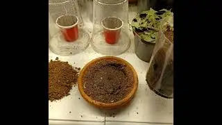 Grow Room Etiquette: saturation