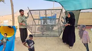 Shadi Abbas at the amusement park and building a practical shelf in the nomadic desert.