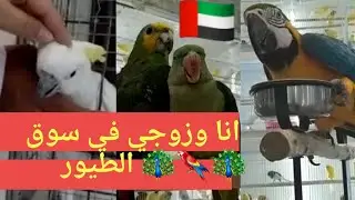 Sharjah Birds & Animals Market | سوق الطيور بالشارقة