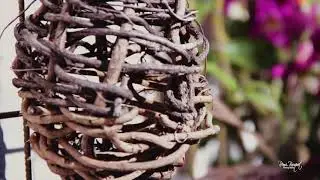 Short film - Nature details - Remi Bouquet Photography