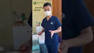 Fire Cupping with Beijing Well-Being Acupuncture Therapy Center