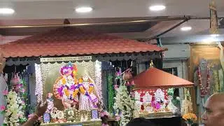 #sankirtan #iskcontemple Kanoon garden #bahrain 15 aug 25 #shortvideo #subscribe 