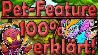 Unlock | Use | Order - Complete Pet Guide 📚Shakes & Fidget Guide📚