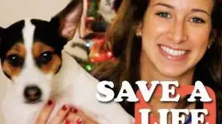 SAVE A LIFE! (Project4Awesome) So BE AWESOME!