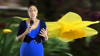 Capricorn March 2014 Monthly Astrology Horoscope by Nadiya Shah
