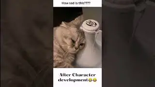 After character development...sad cat