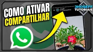 How to ENABLE status sharing on WhatsApp
