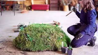 Beginning of the Year on a Wintery Flower Farm | Electric Daisy Flower Farm