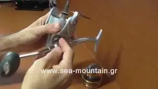 RYOBI CARNELIAN 12000