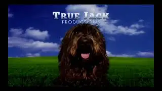 DLC: True Jack Productions/Imagine Television/Universal Content Productions (2010/2019)