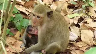 Oh No! ? What happened on the poor little baby God help! Stories from real lifeday-to-day broadcast