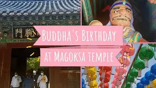 Buddha&rsquo;s Birthday at MAGOKSA temple 2021 | UNESCO Heritage