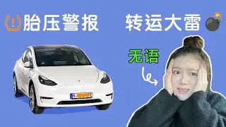 #27 Tesla Model Y 第一次警报：胎压过低｜转运开盲盒：50kg到货3kg😅 海外党留学生如何找靠谱转运商？