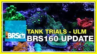 ULM Tank Trials Ep-9: BRS160 / Triton as an Ultra Low Maintenance Tank ? | BRStv