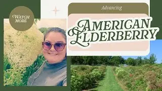 Environment Affects Performance and Fruit Yields of Diverse American Elderberry Genotypes Part One