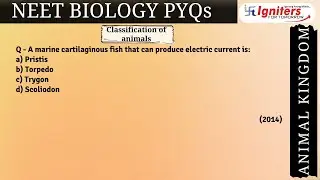 A marine cartilaginous fish that can produce electric current is: a) Pristis b) Torpedo c) Trygon..