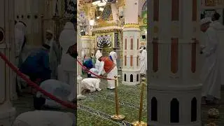 Riyaz ul Jannah in Madina 🤲🌹👉#madina #love #rasoolallah #riyazuljannah #ytshorts #sukoon #shorts