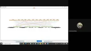 Download genomic GFF and Peptide data for dual synteny