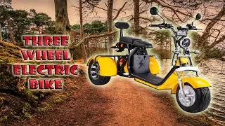 Three wheel electric bike
