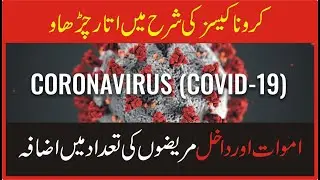 VOICE TODAY BREAKING NEWS| CORONA CASES IN PAKISATN  |NCOC| Corona Update| Cases of corona|