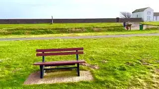 Mary port - Lake District beach #shorts