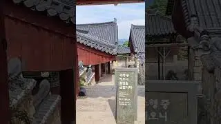 사찰의 고요함#prismlivestudio #부산 #travel #asmr #busan #temple